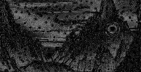 The Million-User Mirage: Decoding Signal from Noise in Algorand's Afghan Payment Experiment