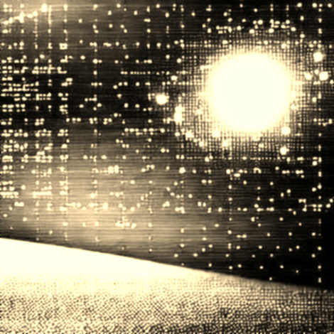 The Void Protocol: When Zero Data Is the Loudest Red Flag"