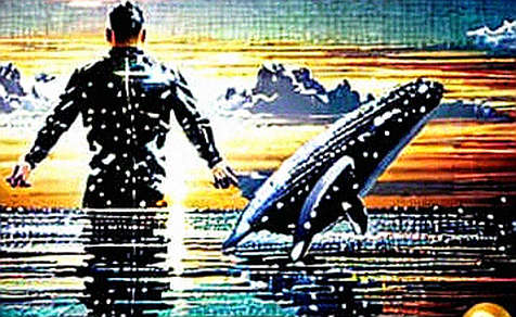 The Regulator's Sandbox: Why Luno's SEC Nod Is a Symptom, Not a Cure